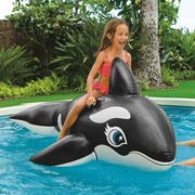 intex游泳圈浮排成人儿童水上玩具漂流冲浪充气动物大黑鲸浮床