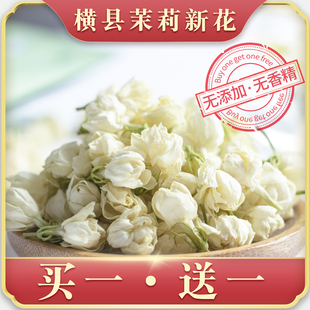 茉莉花茶2023新花苞茶茉莉花干花泡茶孕妇广西横县特茉莉鲜花干级