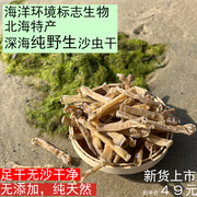 北海深海无沙原色北海特产自晒野生沙虫干新鲜活干货