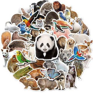 50张动物写实贴画亚马逊动物，涂鸦贴纸不重复防水汽车贴纸