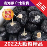 天然青海诺木洪野生黑枸杞特级牛头果250g10毫米罐装青海