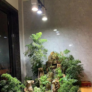 全光谱植物灯轨道射灯LED雨林缸室内花卉造景植物生长照明补光灯