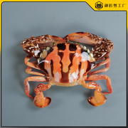 仿真红花蟹模型假红膏蟹梭子蟹海螃蟹，模型仿真海鲜水产直播道具