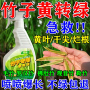竹子专用肥料佛肚竹红竹营养液罗汉竹，发黄小叶毛竹内(毛竹内)门竹勒竹肥料