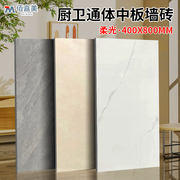 柔光400×800瓷砖微水泥通体全瓷砖卫生间客厅墙砖哑光防滑地板砖