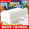 泰国乳胶枕头一对家用天然橡胶枕头芯记忆成人护颈椎助睡眠硅胶低
