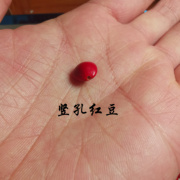 天然马来西亚相思红豆血菩提原料横竖孔DIY配件散珠按斤一手货源