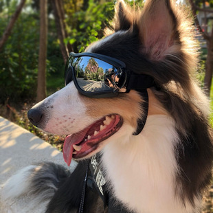 宠物眼镜大狗狗墨镜，防水防紫外线，防风沙金毛太阳镜中大型犬护目镜