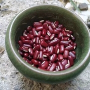 正宗农家自产赤小豆500g 广西巴马天然长粒当季新赤豆红豆满