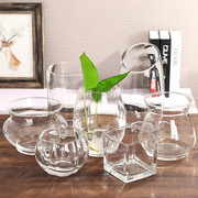 简约小清新玻璃花瓶透明水培，花盆水养绿萝植物器皿小号富贵竹摆件