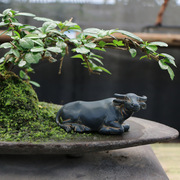 小水牛摆件微景观动物装饰品，花盆庭院假山，流水树脂工艺品盆景配件