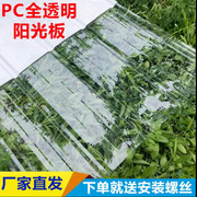 PC树脂全透明阳光板透明瓦雨棚屋檐阳光房玻璃亮瓦蔬菜大棚采光板