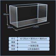 金晶白玻璃鱼缸厅小中小型x水族箱水草龟缸超造景缸裸客缸鹏说