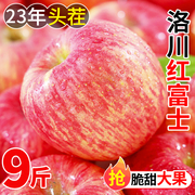 洛川红富士苹果水果新鲜应当季整箱10斤陕西冰糖心丑平安果