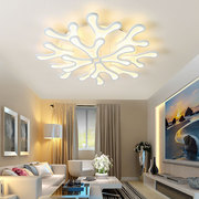 客厅简约现代大气家用卧室吸顶灯温馨个性艺术创意led灯具