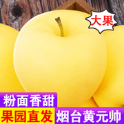 黄元帅山东烟台苹果黄金帅新鲜水果应季整箱黄香蕉2斤粉面苹果新