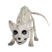 万圣节鬼屋恐怖装饰道具摆件猫骨架模型 犬骨标本狗解剖 动物模型