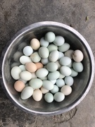 瓮安县木孔村村民散养绿壳土鸡蛋30枚1500g