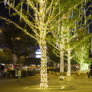 LED小彩灯闪灯串灯满天星圣诞户外100米防水树灯星星装饰家用过年