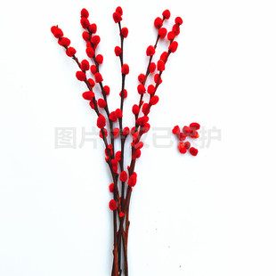 银柳真花鲜枝新年宵(新年宵，)花卉室内植物花瓶，红色干花客厅招财摆件装饰花