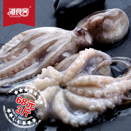 八爪鱼