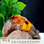 湖南西瓜红红薯富硒番薯新鲜板栗薯，山芋地瓜黄红心(黄红心)小蜜薯五斤