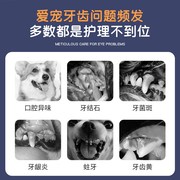 狗狗刷牙指套猫咪清洁牙齿去结石湿巾口腔除口臭洗牙神器宠物用品