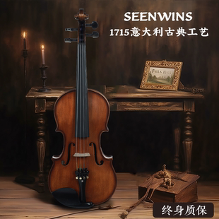 SEENWINS圣维斯SW100手工实木小提琴初学者成人专业考级儿童入门