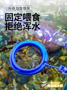 鱼缸喂食器水族箱鱼食投食器喂食圈，小型鱼热带孔雀饲料浮力投喂器