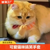 猫咪手套迷你搞笑人手小手逗猫玩具剪比耶小猫手套爪子弹力指套