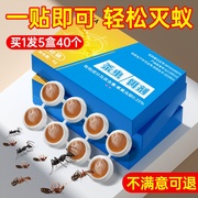 灭小黄蚂蚁白蚁黑红蚂蚁驱防蚂蚁药家用室内非无毒饵剂全窝端强力