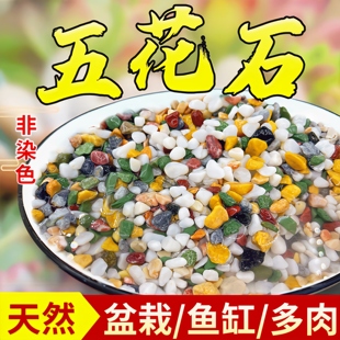 天然彩石多肉盆栽铺面石子，鹅卵石鱼缸造景底砂种花装饰五彩小石头