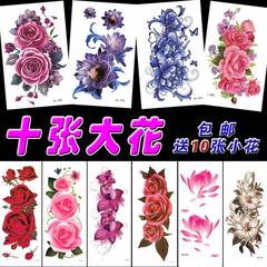 5张 2份13元】纹身贴防水男女 持久胸腿英文仿