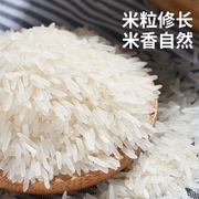 南方大米新米长粒米香米，新鲜猫牙米农家细长米，籼米鲜米丝苗米一级