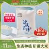 沙垦庄园沙漠玉珠香米500g胚芽米新疆大米小包装粳米现磨鲜米