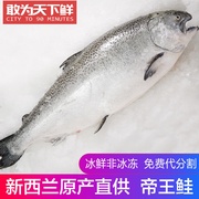 10斤1条北京闪送新西兰进口帝王鲑鱼整条冰鲜三文鱼刺身