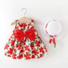 一岁女宝宝公主裙子0-1周婴幼儿，夏季衣服2到3吊带4个5月6碎花套装