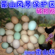 正宗土鸡蛋农家散养新鲜农村自养纯野外竹林柴月子草本笨鸡蛋40枚