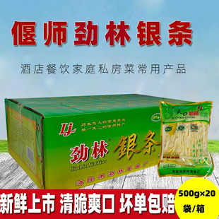 劲林偃师银条菜河南洛阳特产原产地，直供下饭凉拌菜，500g克20袋整箱