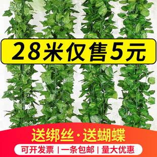 仿真葡萄叶假花藤条藤蔓植物树叶绿叶水管道吊顶装饰塑料绿萝叶子