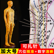 中医针灸人体穴位经络模型人铜人可扎针练习人模特十二经络小皮人