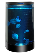 半圆形桌面专业小水母缸鱼缸赤月海月大西洋水母小型观赏水母缸