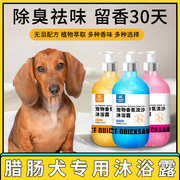 腊肠犬专用狗狗洗澡沐浴露，除臭持久留香美毛宠物，香波浴液清洁用品