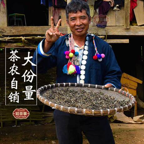 古树生茶散