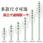 家用铁艺花盆支架月季花架爬藤架室内客厅铁线莲庭院支杆攀爬架