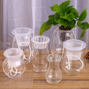 自动吸水懒人玻璃花瓶水培植物透明绿萝花盆送棉绳定植篮创意器皿