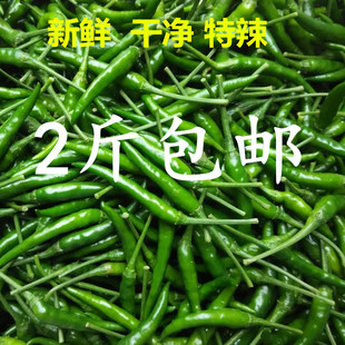 新鲜青辣椒农家自种青小米椒超辣辣椒泡椒现摘朝天椒1斤 2斤