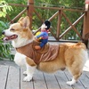 狗狗骑马变身装网红宠物搞笑牛仔，骑士柯基泰迪搞怪柴犬创意狗衣服