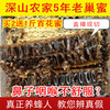 老巢蜜蜂巢蜜纯正天然农家野生蜂蜜，蜂巢素嚼着吃的500g盒装蜂窝蜜