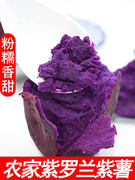 新鲜沙地紫罗兰番薯农家自种紫薯紫心蜜薯5斤糖心小紫薯地瓜
